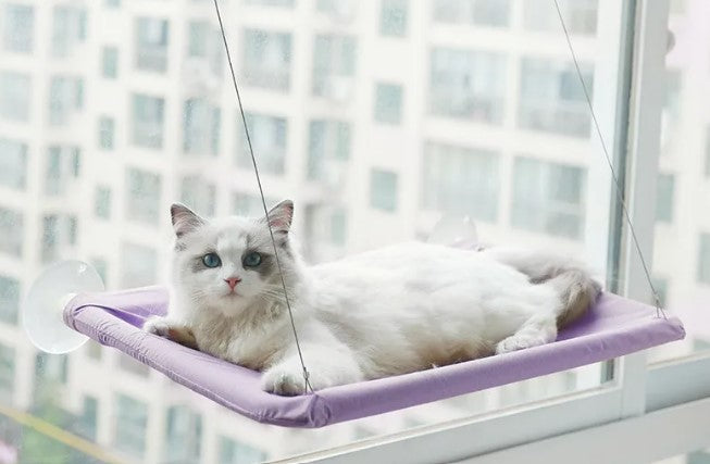 Cat Window Hammock with Suction Cups