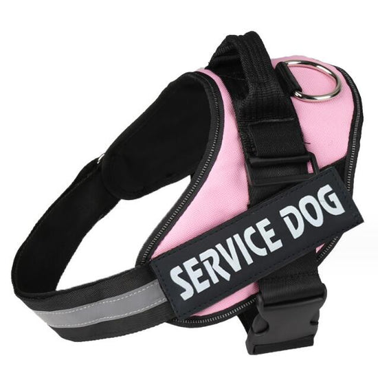 Dog & Cat Harness with Leash Ring – Oxford Cloth, 13 Styles, XS–XXL