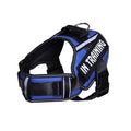 Reflective Dog Harness & Leash Set | No-Pull Neck Protection