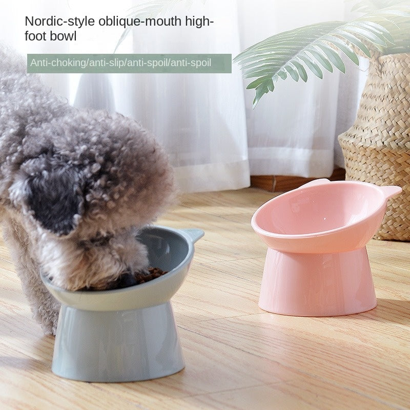 Elevated Cat Bowl | Tilted Neck-Protection Feeding Bowl
