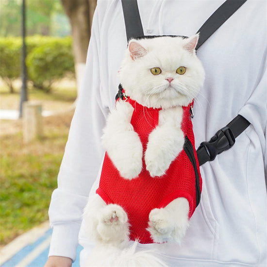 Comfort Pet Backpack Carrier