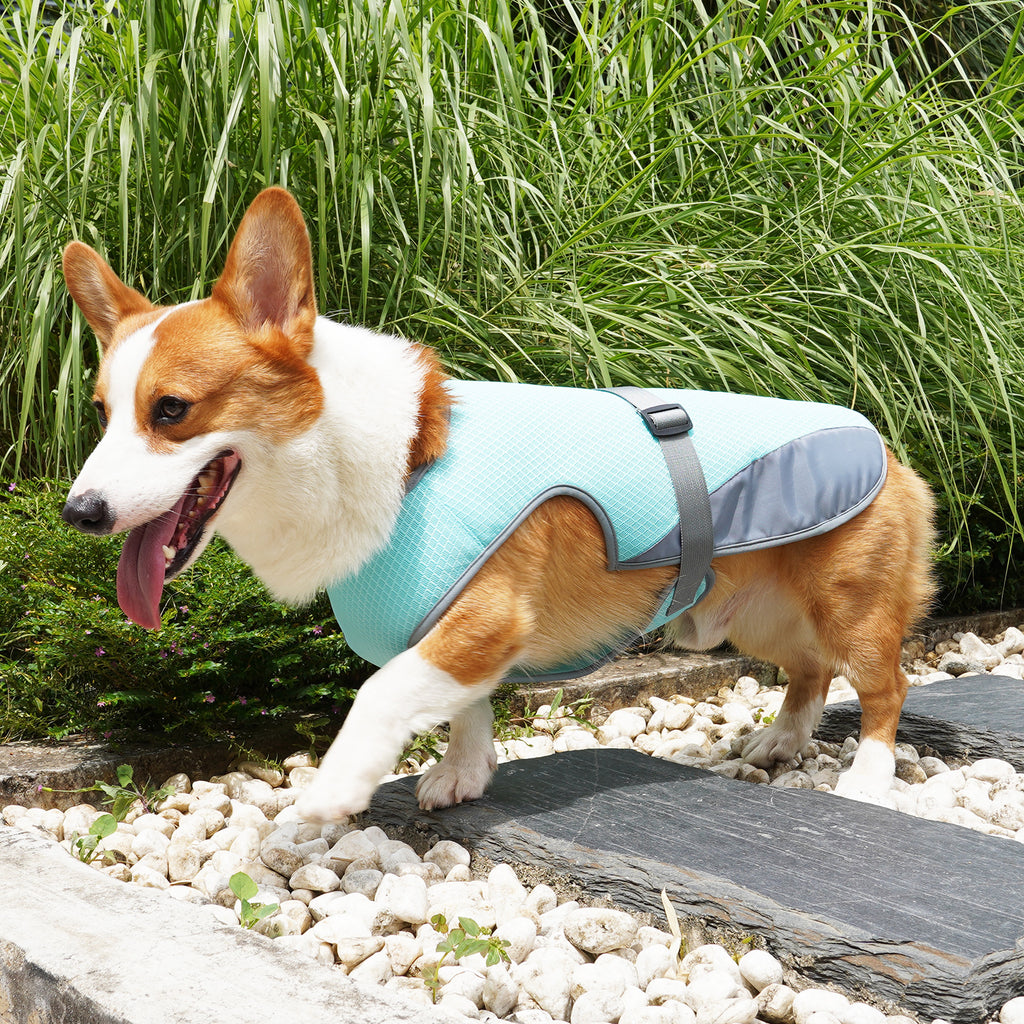 Dog Cooling Vest | Breathable Summer Heat Protection Harness