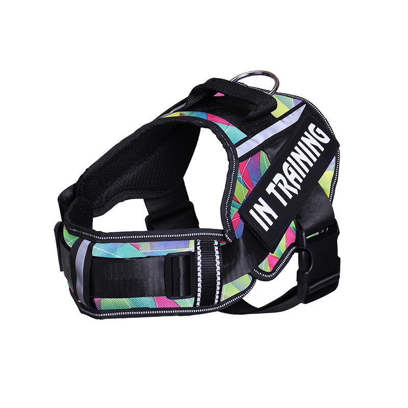 Reflective Dog Harness & Leash Set | No-Pull Neck Protection