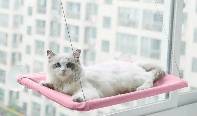 Cat Window Hammock with Suction Cups