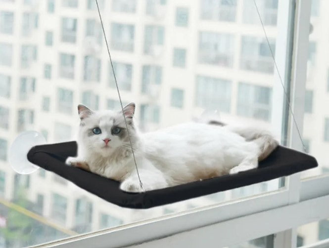 Cat Window Hammock with Suction Cups
