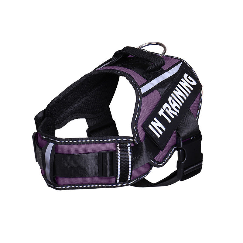 Reflective Dog Harness & Leash Set | No-Pull Neck Protection