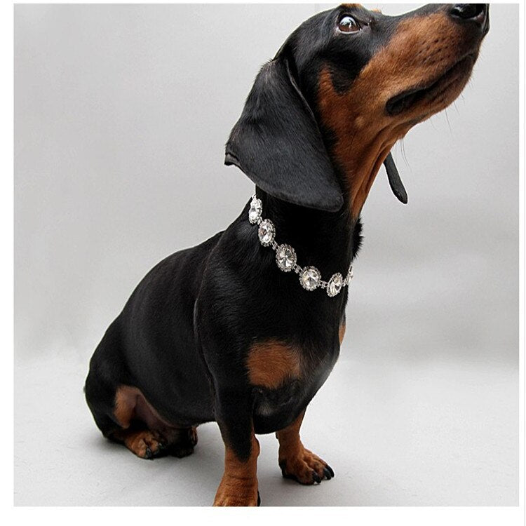 Pet Pearl & Rhinestone Collar Necklace | Elegant Cat & Dog Jewellery