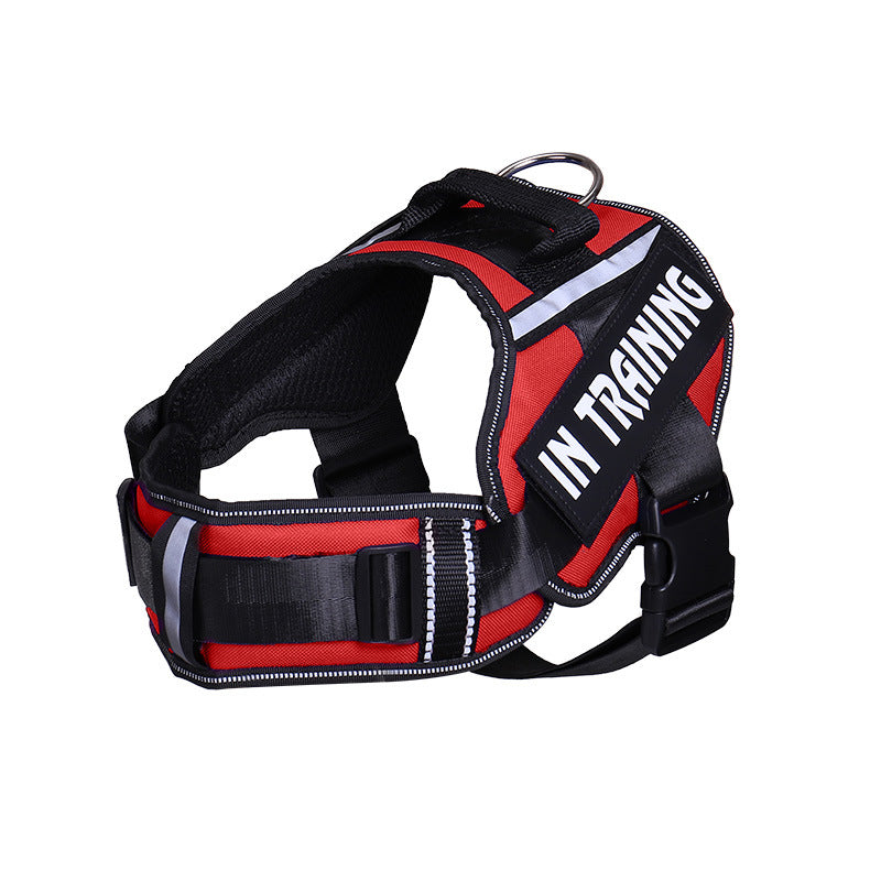 Reflective Dog Harness & Leash Set | No-Pull Neck Protection