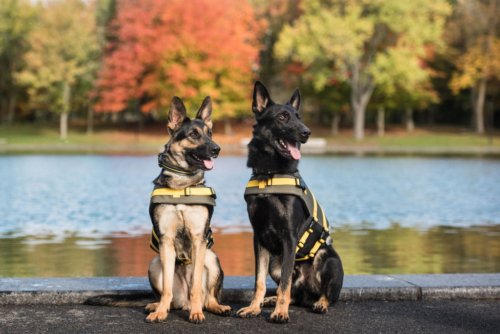 US Army Dog Life Vest — High Buoyancy Safety Jacket