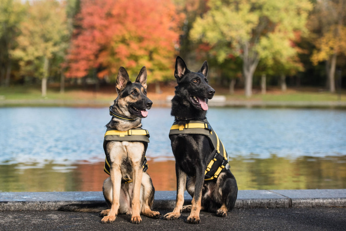 US Army Dog Life Vest — High Buoyancy Safety Jacket