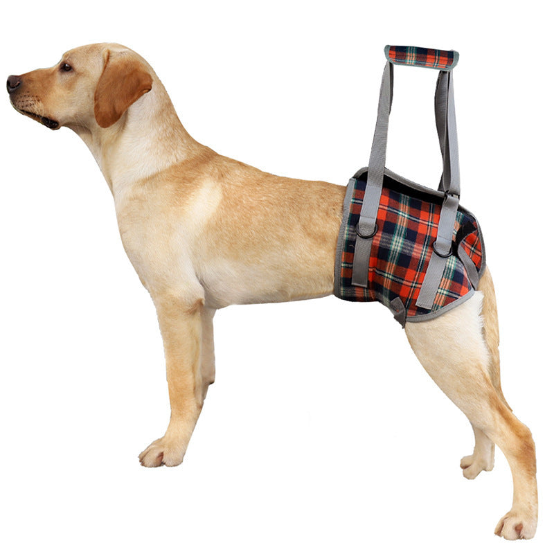 Dog Leg Support Harness | Post-Surgery & Mobility Aid