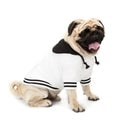 Colour Block Dog Sweater | Soft Cotton Knit Pet Clothing