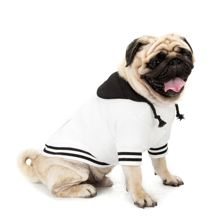 Colour Block Dog Sweater | Soft Cotton Knit Pet Clothing