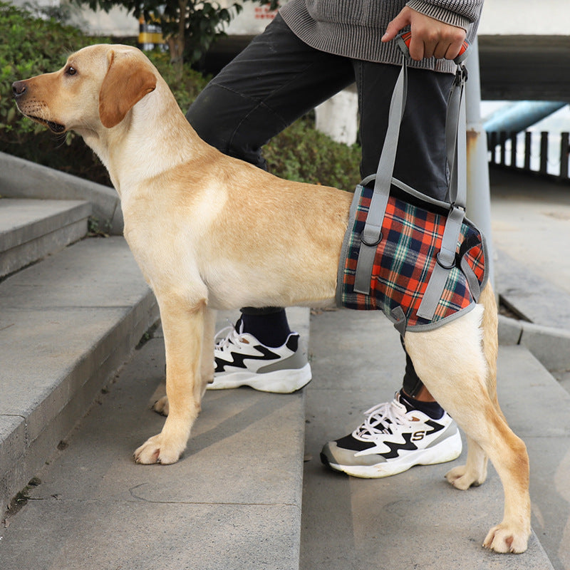 Dog Leg Support Harness | Post-Surgery & Mobility Aid