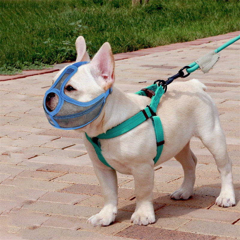 Soft Dog Muzzle | Anti-Bite & Anti-Scavenging Safety Mask