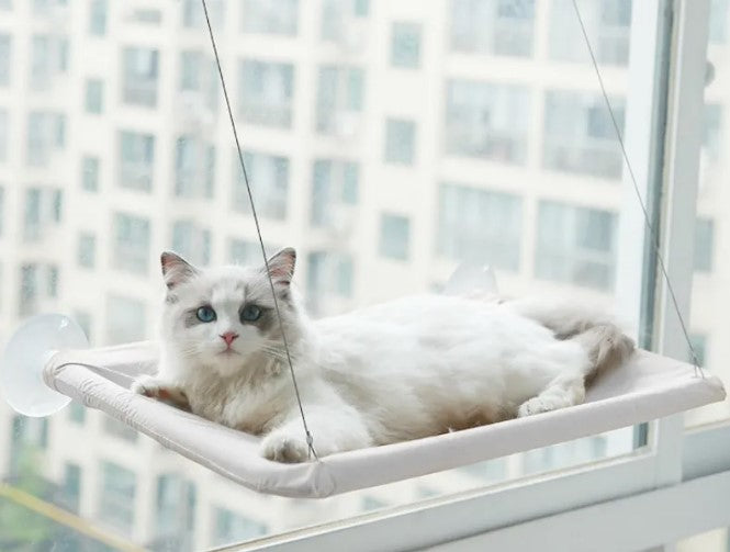 Cat Window Hammock with Suction Cups