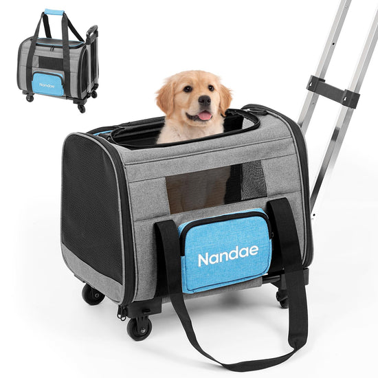 Foldable Airline-Approved Cat & Dog Carrier with Wheels