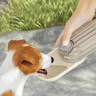 Portable Dog Water Bottle | 2-in-1 Walk & Drink Travel Cup