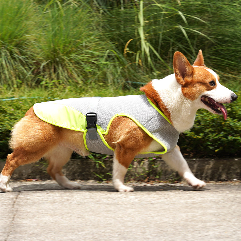 Dog Cooling Vest | Breathable Summer Heat Protection Harness