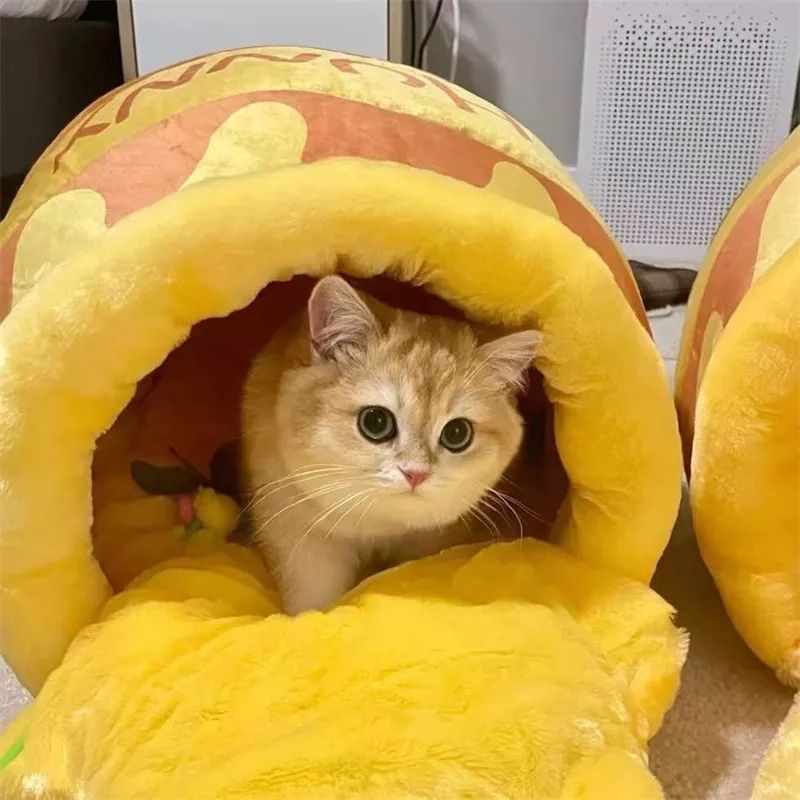Honey Jar Cat Bed | Cozy Enclosed Winter Kennel for Cats