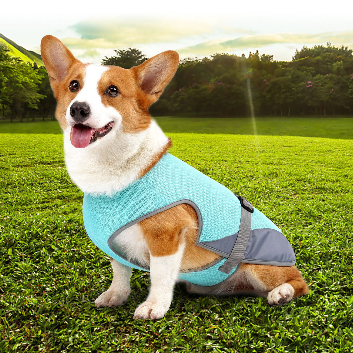 Dog Cooling Vest | Breathable Summer Heat Protection Harness