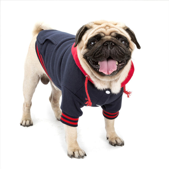 Colour Block Dog Sweater | Soft Cotton Knit Pet Clothing