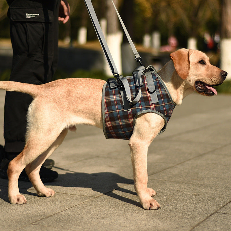 Dog Leg Support Harness | Post-Surgery & Mobility Aid