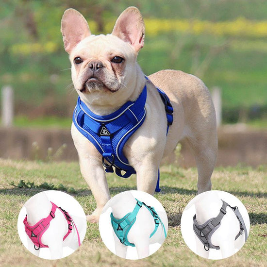 Breathable Mesh Dog Harness Vest – Reflective, No-Pull, Sizes S–XL