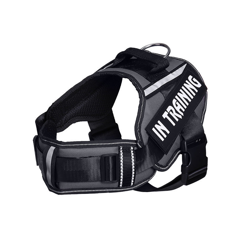 Reflective Dog Harness & Leash Set | No-Pull Neck Protection