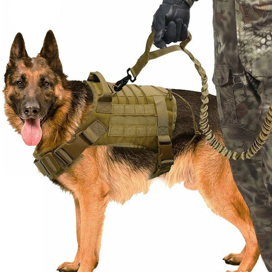 Tactical Dog Vest | Military-Style Breathable Harness