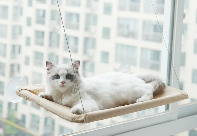 Cat Window Hammock with Suction Cups