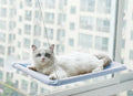 Cat Window Hammock with Suction Cups