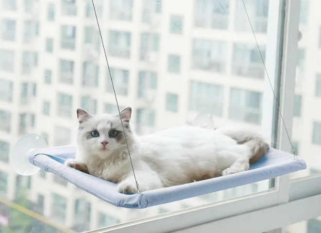Cat Window Hammock with Suction Cups
