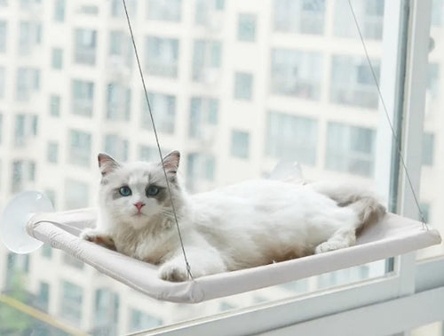 Cat Window Hammock with Suction Cups